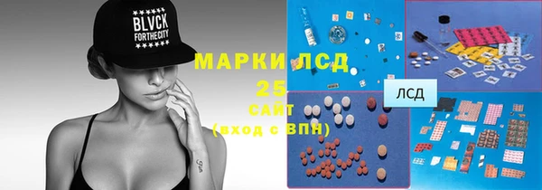 ПСИЛОЦИБИНОВЫЕ ГРИБЫ Белоозёрский