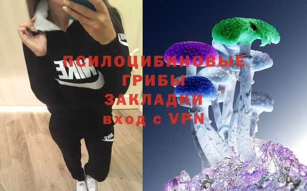 спиды Беломорск