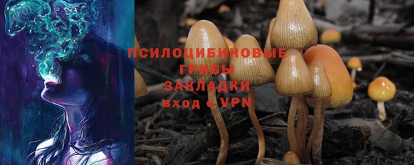 экстази Пересвет